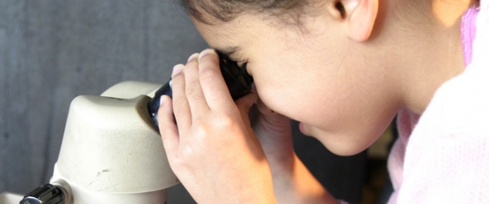 Santa Monica Pier Aquarium Kid Microscope